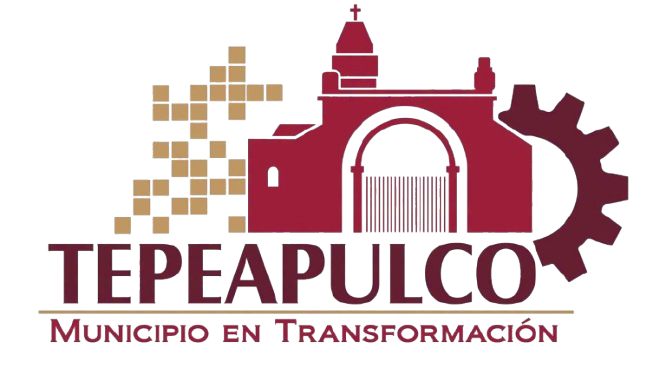 LogotipoTepeapulco